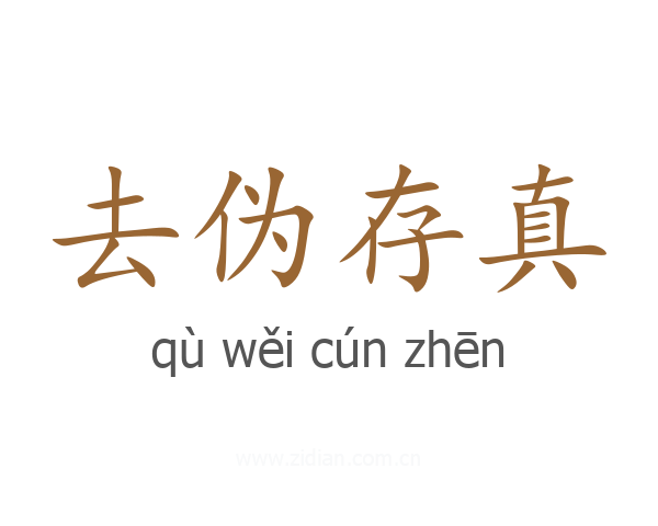 去伪存真