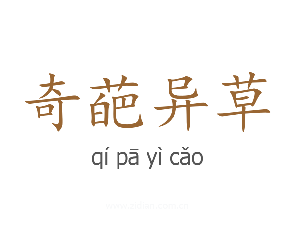 奇葩异草