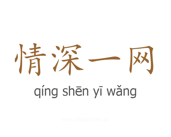 情深一网