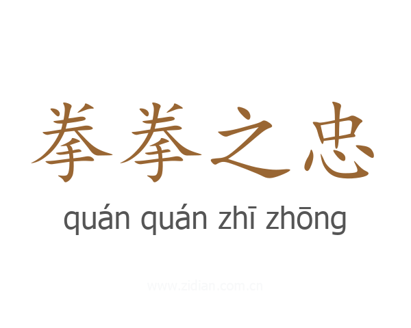 拳拳之忠