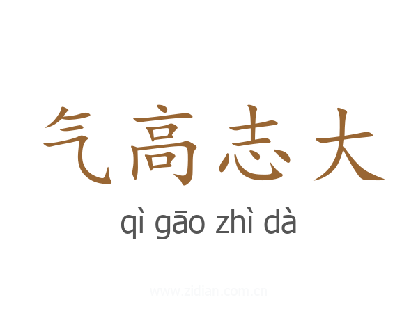 气高志大