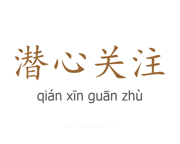 潜心关注