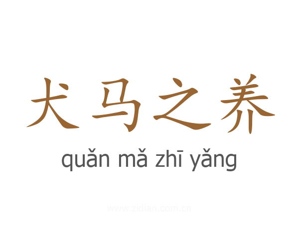犬马之养