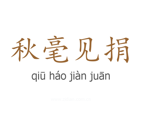 秋毫见捐