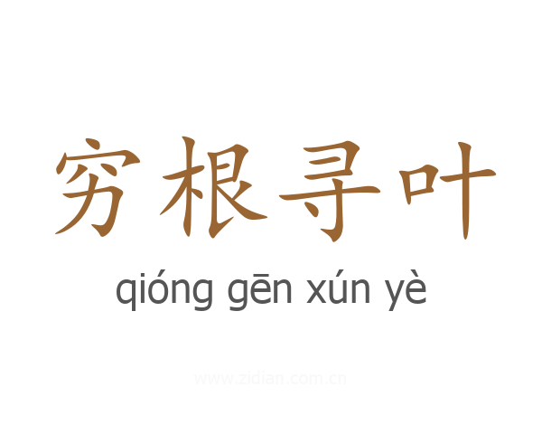 穷根寻叶