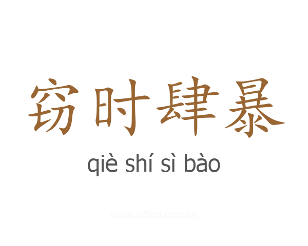 窃时肆暴