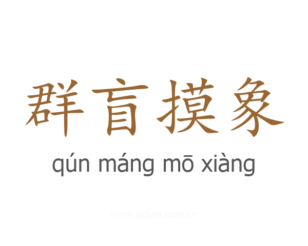 群盲摸象