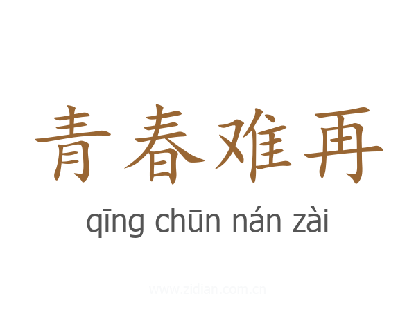 青春难再