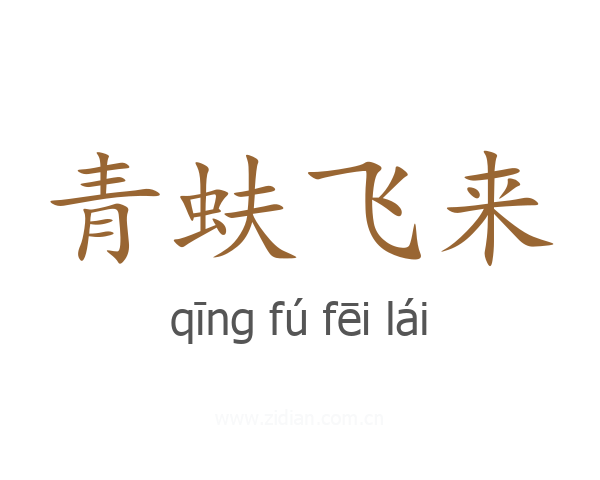 青蚨飞来