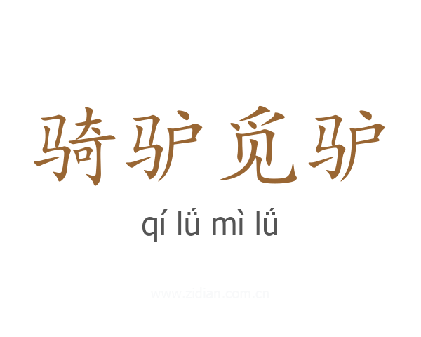 骑驴觅驴