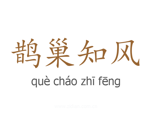 鹊巢知风