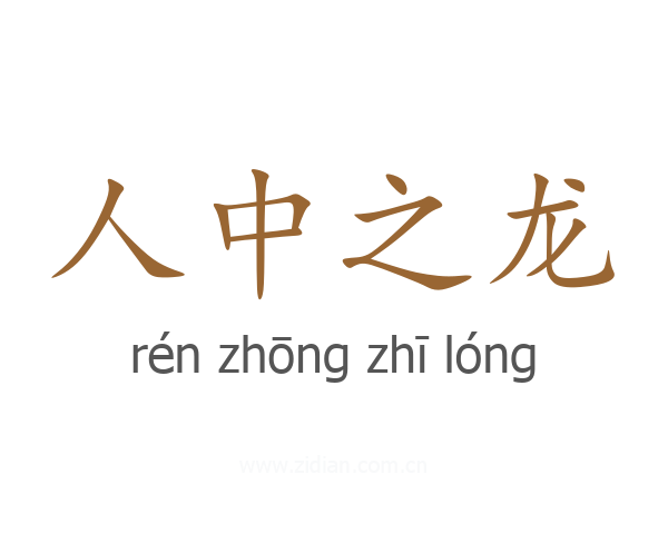 人中之龙