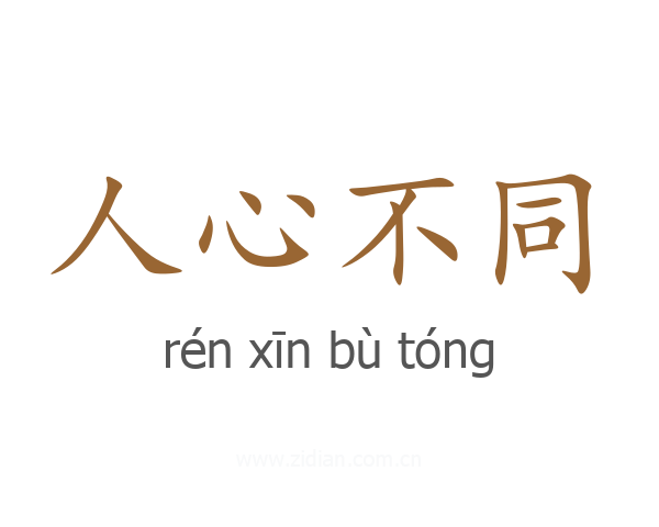 人心不同