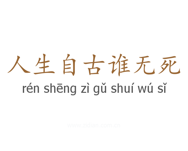 人生自古谁无死