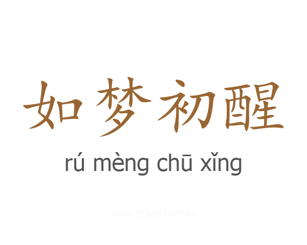 如梦初醒