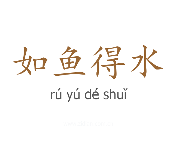 如鱼得水