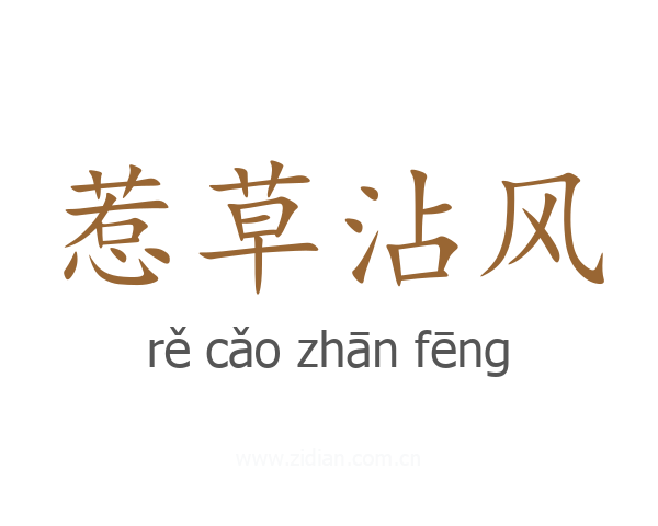 惹草沾风