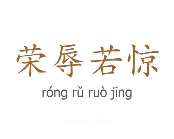 荣辱若惊