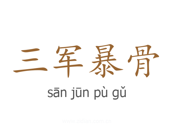 三军暴骨
