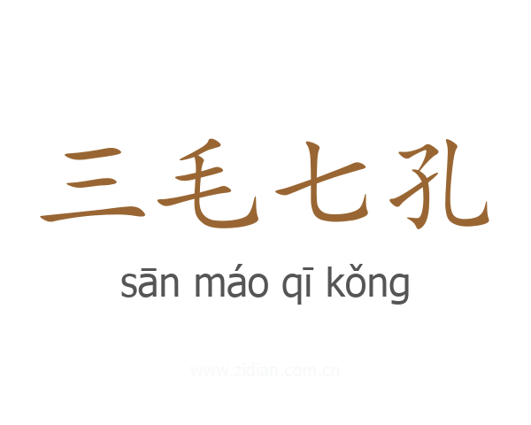 三毛七孔