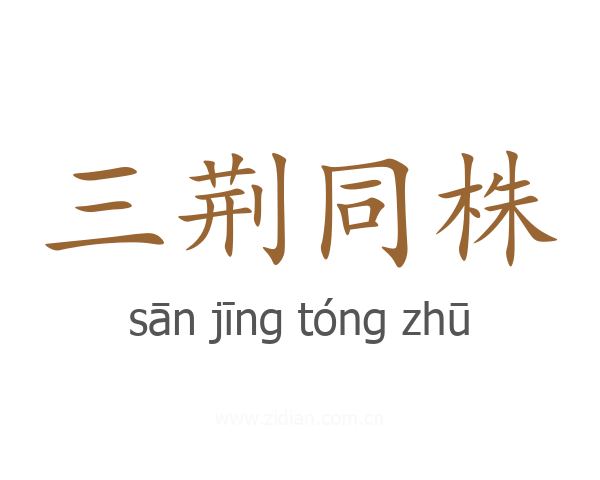 三荆同株