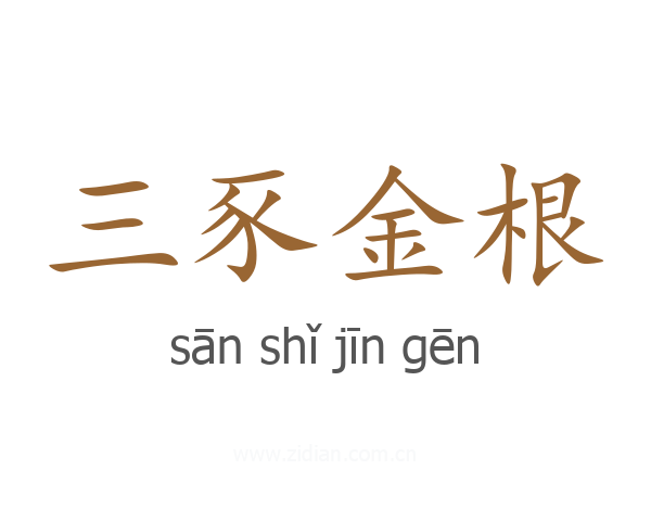 三豕金根
