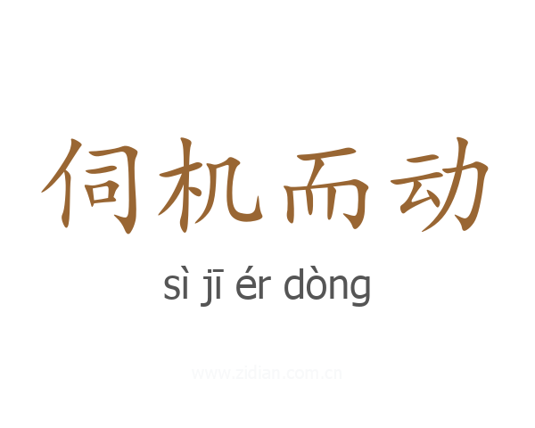 伺机而动