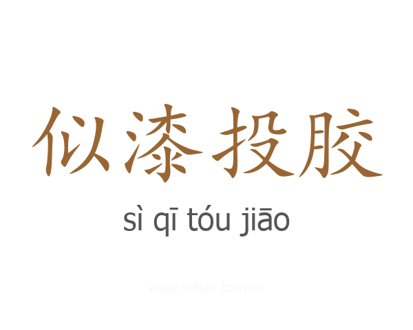 似漆投胶