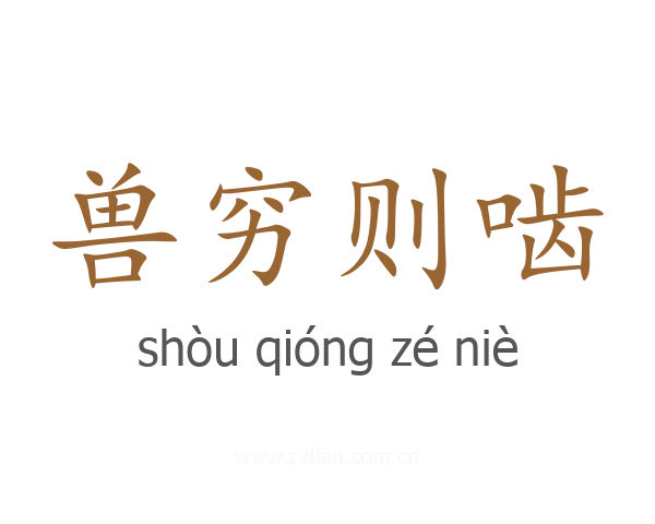 兽穷则啮