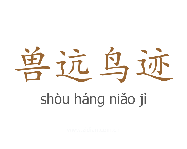 兽迒鸟迹