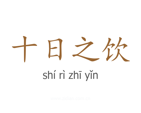 十日之饮