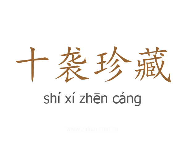 十袭珍藏