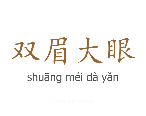 双眉大眼