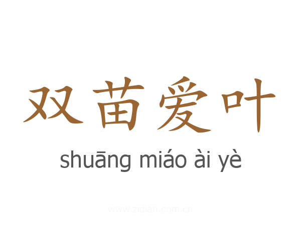 双苗爱叶