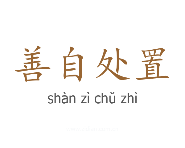 善自处置
