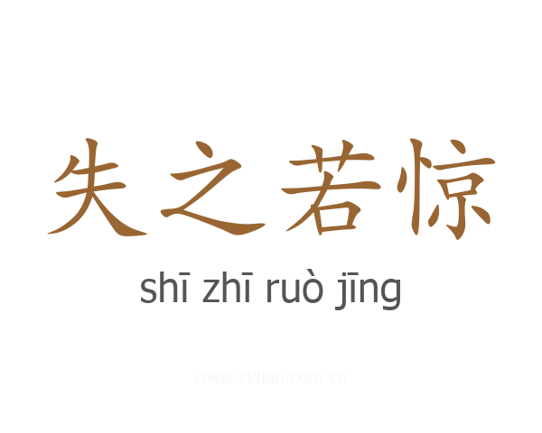 失之若惊