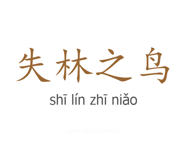 失林之鸟