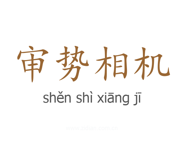 审势相机