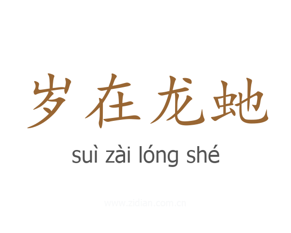 岁在龙虵