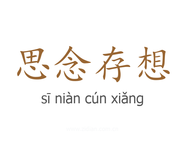 思念存想