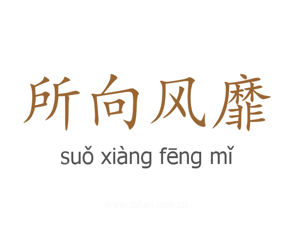 所向风靡