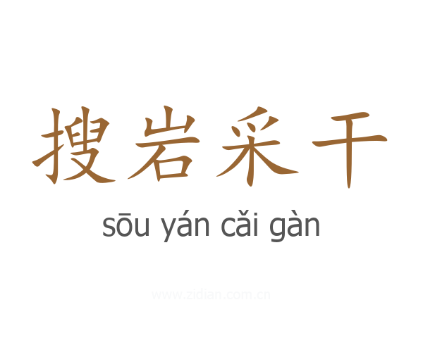 搜岩采干