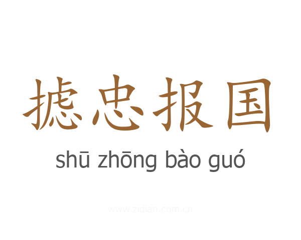 摅忠报国
