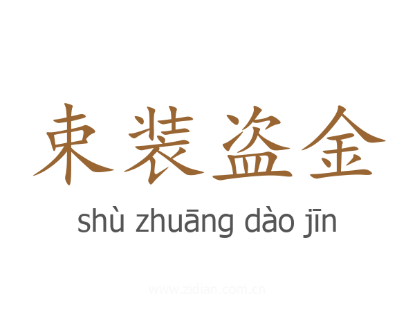束装盗金