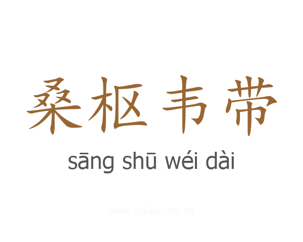 桑枢韦带