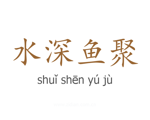 水深鱼聚