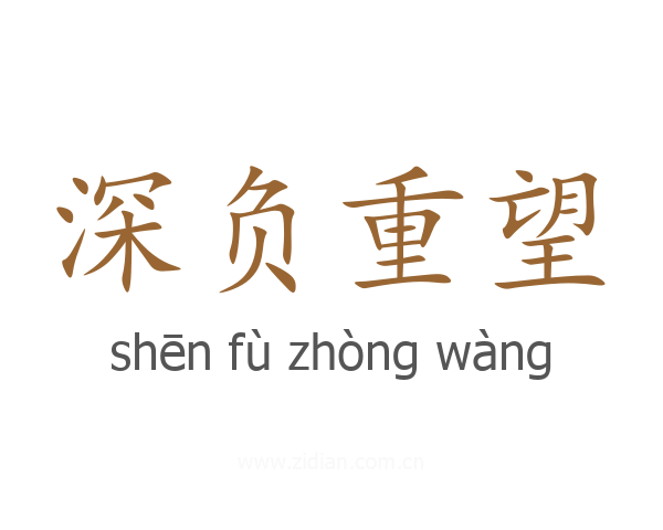 深负重望