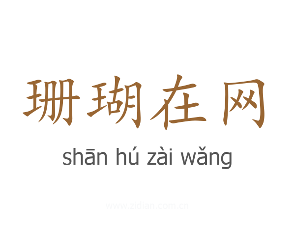 珊瑚在网