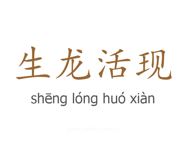 生龙活现