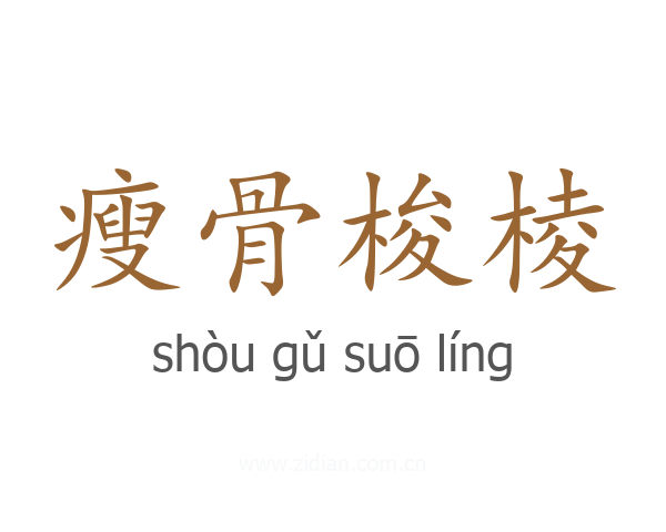 瘦骨梭棱